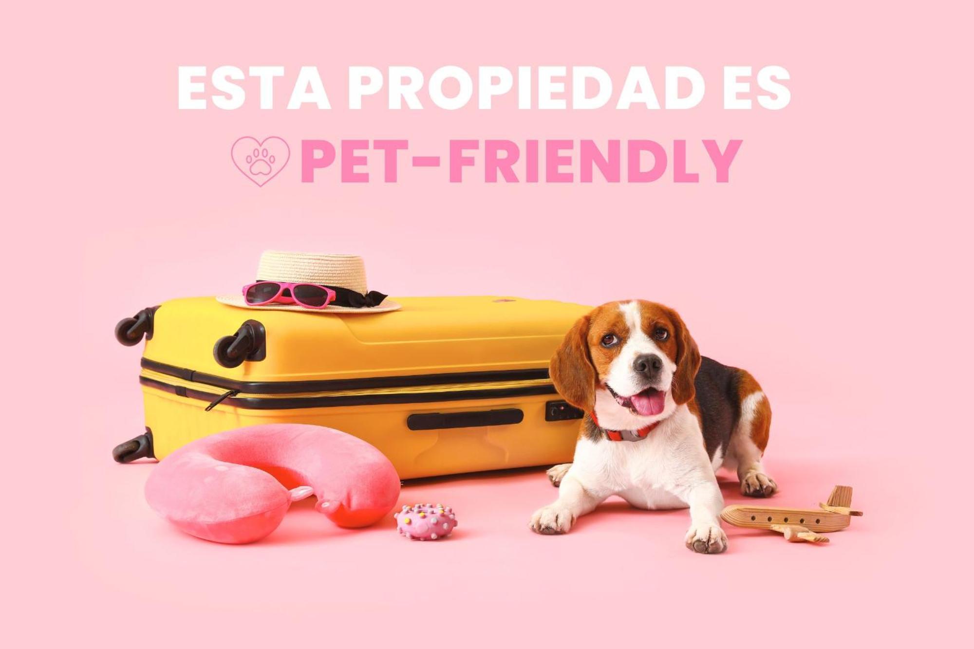 Apartment Con Parking Y Escritorio I En Incles I Andbnb *